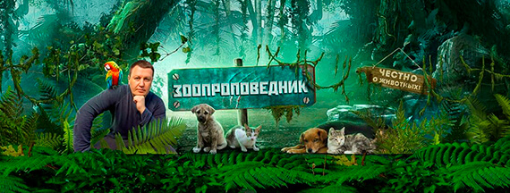 Пример обложки для видео